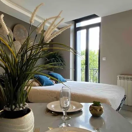 Lägenhet Rdc 2 - Meuble Centre-ville, Au Pied Du Pont Saint Pierre *